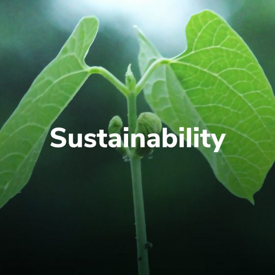 Sustainability